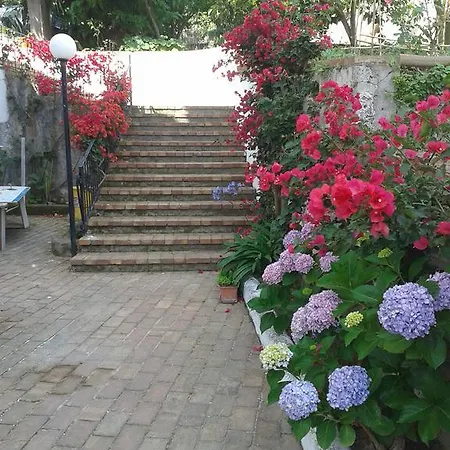 Gromano *